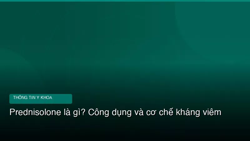 Prednisolone là gì? Công dụng và cơ chế kháng viêm